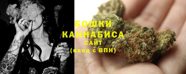 2c-b Богородицк