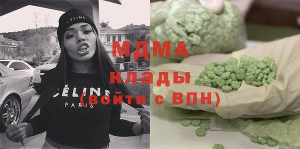 spice Богородск