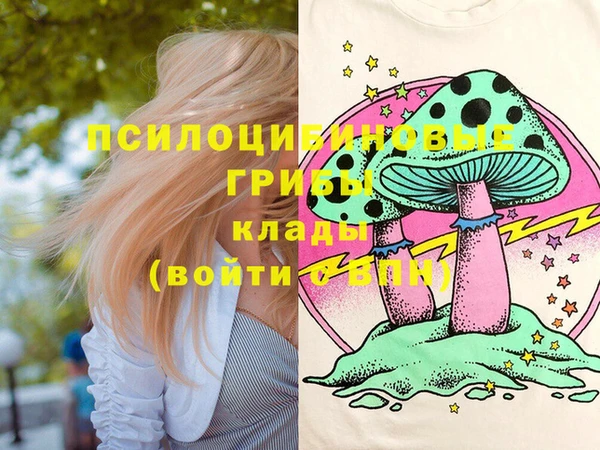 2c-b Богородицк