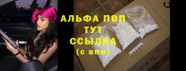 spice Богородск