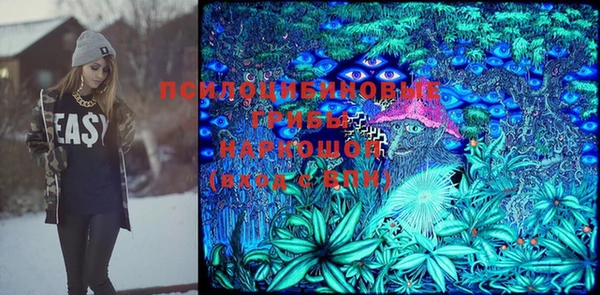 spice Богородск