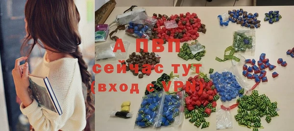 spice Богородск